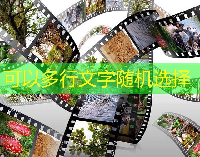 regis jogando no cassino